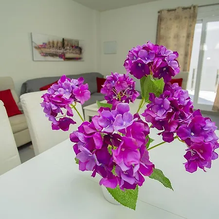 036 Premium - Alicante * Torrevieja