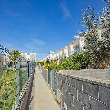 036 Premium - Alicante