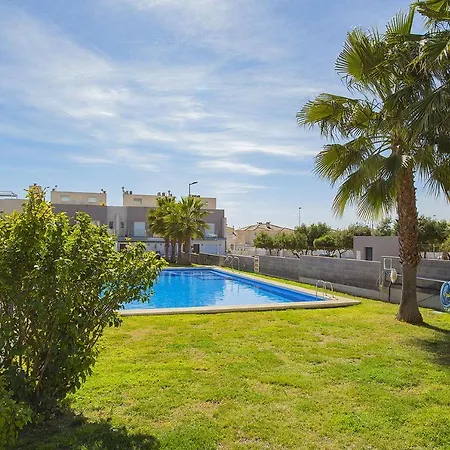 036 Premium - Alicante